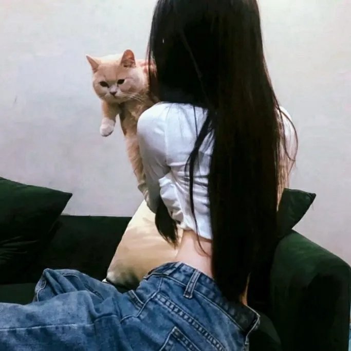 爬墙新娘年十八。